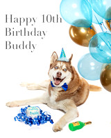 HAPPY BIRTHDAY BUDDY