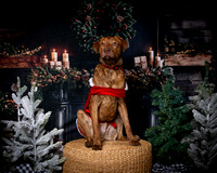 SMITH XMAS 2024